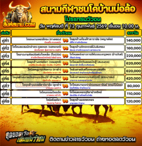 โปรแกรมวัวชน สนามกีฬาชนโคบ้านบ่อล้อ