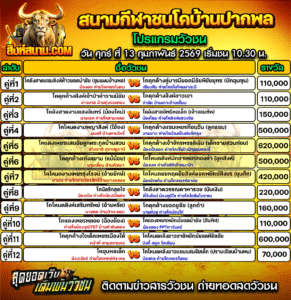 โปรแกรมวัวชน สนามกีฬาชนโคบ้านปากพล