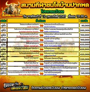 โปรแกรมวัวชน สนามกีฬาชนโคบ้านปากพล