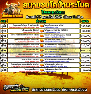 โปรแกรมวัวชน สนามกีฬาชนโคบ้านระโนด