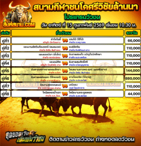 โปรแกรมวัวชน สนามกีฬาชนโคศรีวิชัยล้านนา