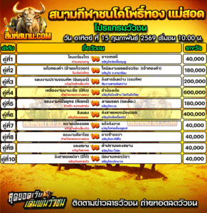 โปรแกรมวัวชน สนามกีฬาชนโคโพธิ์ทอง แม่สอด