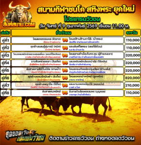 โปรแกรมวัวชน สนามกีฬาชนโค สทิงพระยุคใหม่