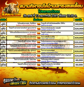 โปรแกรมวัวชน สนามกีฬาชนโคบ้านเสาธงสเตเดี้ยม