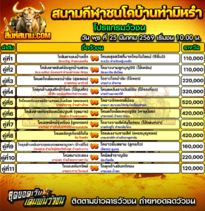 โปรแกรมวัวชน สนามกีฬาชนโคบ้านท่ามิหรำ