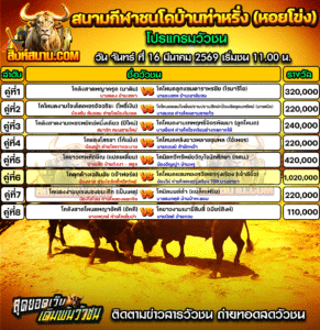 โปรแกรมวัวชน สนามกีฬาชนโคบ้านท่าหรั่ง