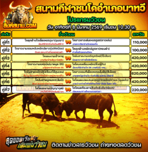 โปรแกรมวัวชน สนามกีฬาชนโคอำเภอนาทวี