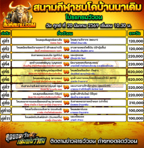 โปรแกรมวัวชน สนามกีฬาชนโคบ้านนาเดิม