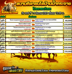 โปรแกรมวัวชน สนามกีฬาชนโคบ้านน้ำกระจาย