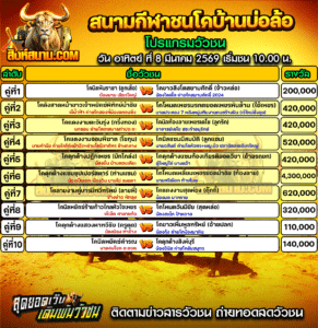 โปรแกรมวัวชน สนามกีฬาชนโคบ้านบ่อล้อ