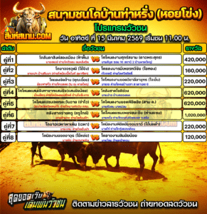 โปรแกรมวัวชน สนามกีฬาชนโคบ้านท่าหรั่ง (หอยโข่ง)