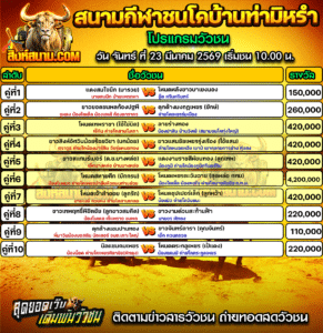 โปรแกรมวัวชน สนามกีฬาชนโคบ้านท่ามิหรำ