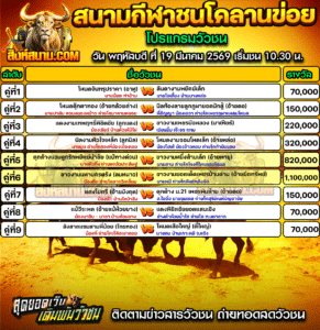 โปรแกรมวัวชน สนามกีฬาชนโคลานข่อย