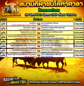 โปรแกรมวัวชน สนามกีฬาชนโคท่าศาลา