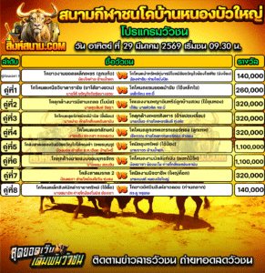 โปรแกรมวัวชน สนามกีฬาชนโคบ้านหนองบัวใหญ่