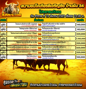 โปรแกรมวัวชน สนามชนโคเกียรติเจริญชัย บ้านผัง34