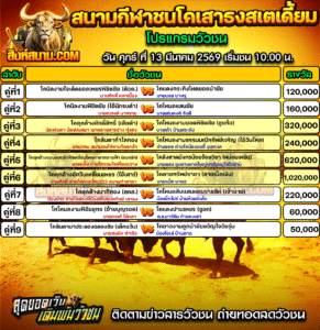 โปรแกรมวัวชน สนามกีฬาชนโคเสาธงสเตเดี้ยม