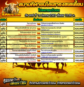โปรแกรมวัวชน สนามกีฬาชนโคเสาธงสเตเดี้ยม