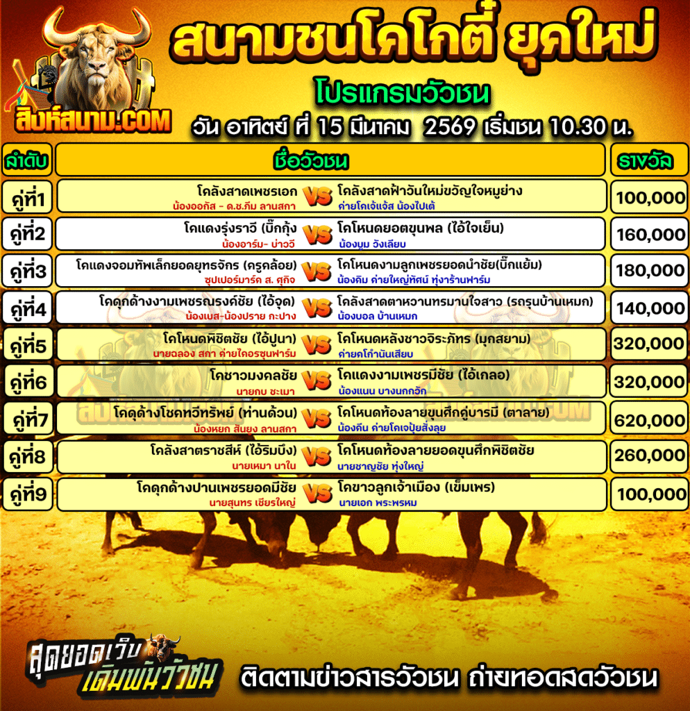 สนามกีฬาชนโคโกตี๋ ยุคใหม่