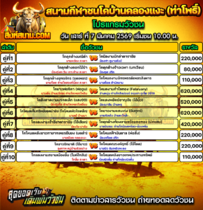 โปรแกรมวัวชน สนามกีฬาชนโคบ้านคลองแงะ (ท่าโพธิ์)