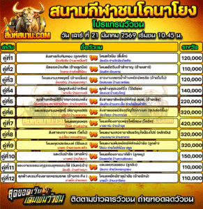 โปรแกรมวัวชน สนามกีฬาชนโคนาโยง