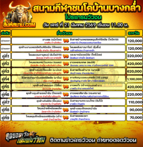 โปรแกรมวัวชน สนามกีฬาชนโคบ้านบางกล่ำ