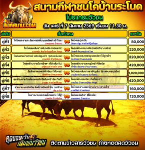 โปรแกรมวัวชน สนามกีฬาชนโคบ้านระโนด