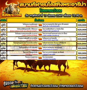 โปรแกรมวัวชน สนามกีฬาชนโคสทิงพระอารีน่า