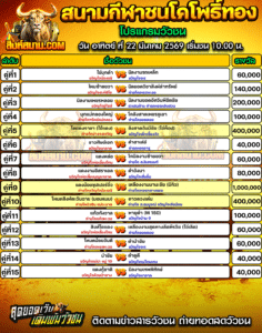 โปรแกรมวัวชน สนามกีฬาชนโคโพธิ์ทอง
