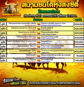 โปรแกรมวัวชน สนามชนโคทุ่งสงซิตี้