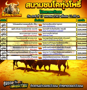 โปรแกรมวัวชน สนามกีฬาชนโคทุ่งโพธิ์
