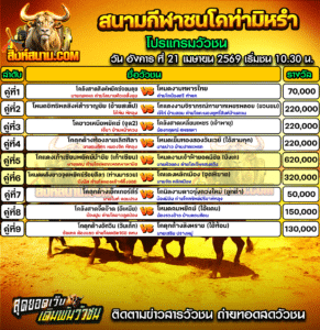 โปรแกรมวัวชน สนามกีฬาชนโคท่ามิหรำ