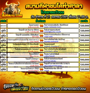 โปรแกรมวัวชน สนามกีฬาชนโคท่าศาลา