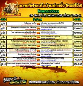 โปรแกรมวัวชน สนามกีฬาชนโคบ้านท่าหรั่ง (หอยโข่ง)