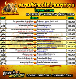 โปรแกรมวัวชน สนามกีฬาชนโคบ้านนาทราย