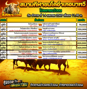 โปรแกรมวัวชน สนามกีฬาชนโคอำเภอนาทวี