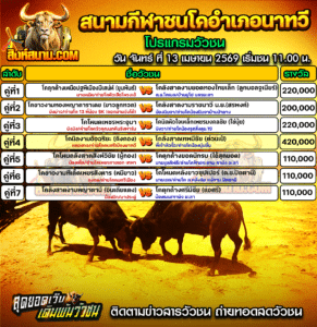 โปรแกรมวัวชน สนามกีฬาชนโคอำเภอนาทวี