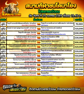 โปรแกรมวัวชน สนามกีฬาชนโคนาโยง