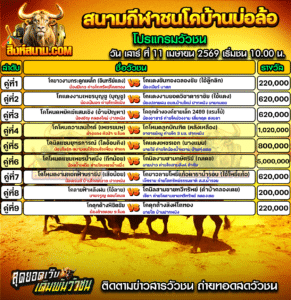 โปรแกรมวัวชน สนามกีฬาชนโคบ้านบ่อล้อ