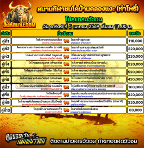 โปรแกรมวัวชน สนามกีฬาชนโคบ้านคลองแงะ (ท่าโพธิ์)