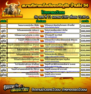 โปรแกรมวัวชน สนามกีฬาชนโคเกียรเจริญชัย บ้านผัง34
