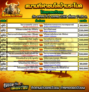 โปรแกรมวัวชน สนามกีฬาชนโคบ้านระโนด