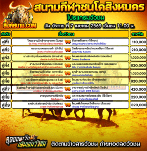 โปรแกรมวัวชน สนามกีฬาชนโคสิงหนคร