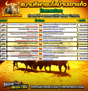โปรแกรมวัวชน สนามกีฬาชนโคบ้านเขาแก้ว