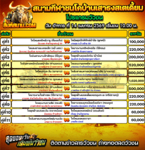 โปรแกรมวัวชน สนามกีฬาชนโคบ้านเสาธงสเตเดี้ยม