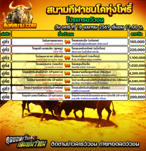 โปรแกรมวัวชน สนามกีฬาชนโคทุ่งโพธิ์