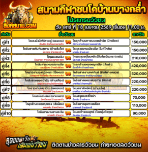 โปรแกรมวัวชน สนามกีฬาชนโคบ้านบางกล่ำ
