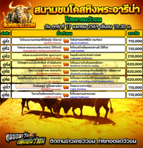 โปรแกรมวัวชน สนามกีฬาชนโคสทิงพระอารีน่า