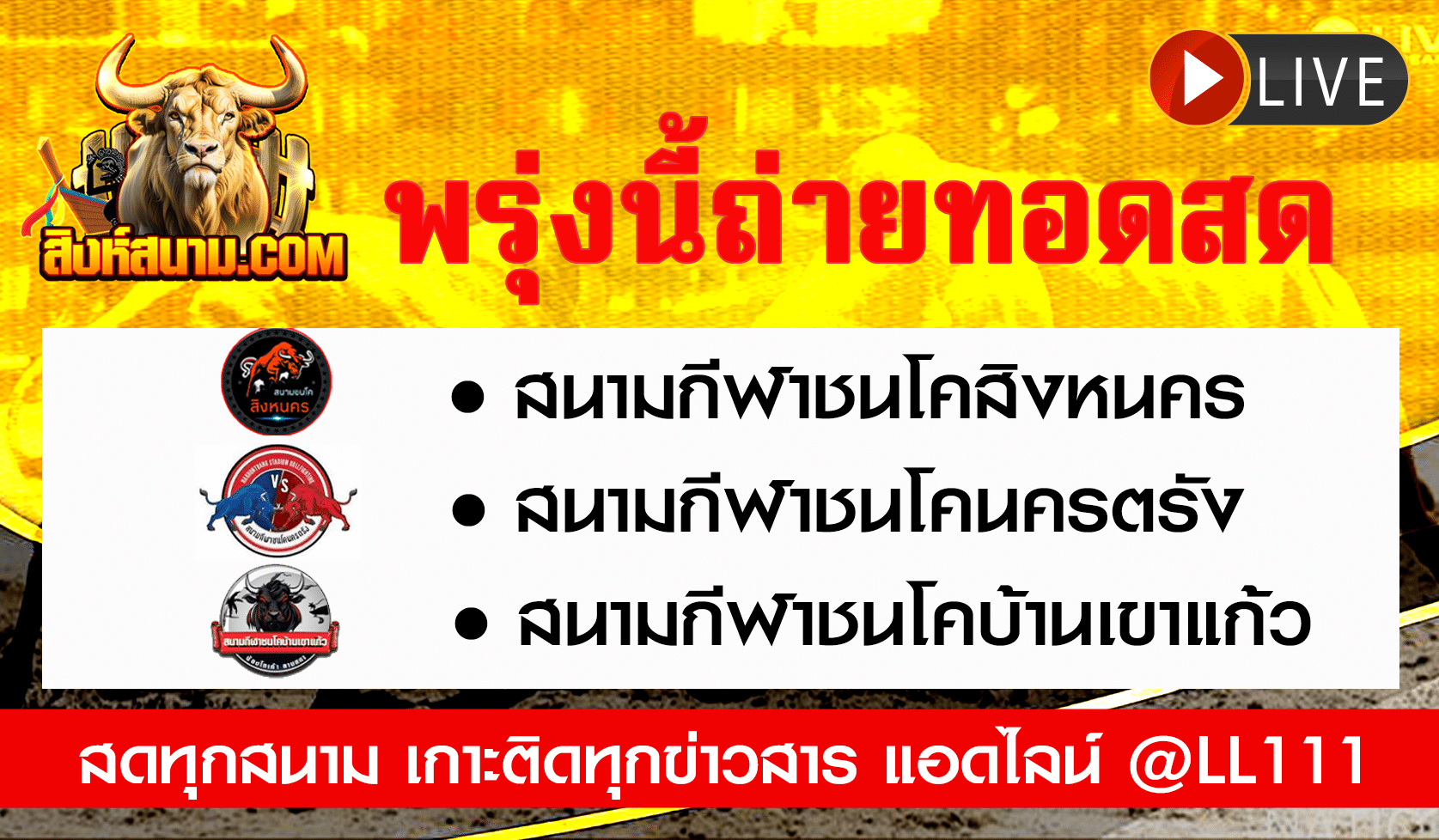 ถ่ายทอดสดวัว