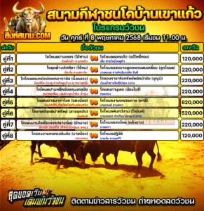 โปรแกรมวัวชน สนามกีฬาชนโคบ้านเขาแก้ว